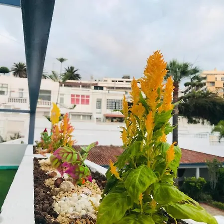 Tropical Apartamento, Zona Taoro Puerto De La Cruz